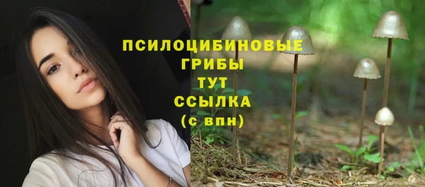 хмурый Шадринск