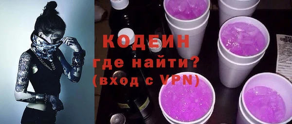 ECSTASY Ельня