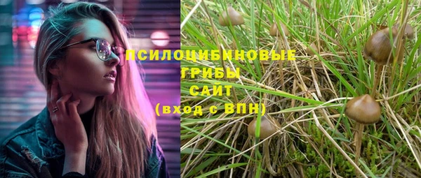 индика Дмитриев