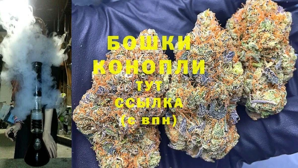 ECSTASY Ельня