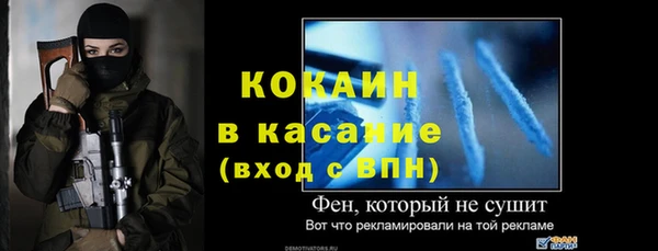 сатива Заволжье