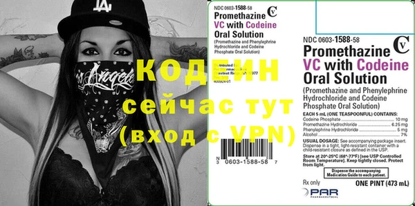 ECSTASY Ельня