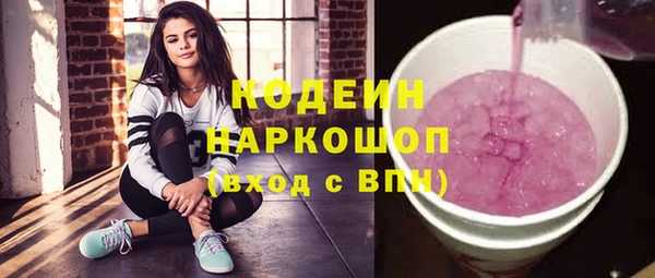 ECSTASY Ельня