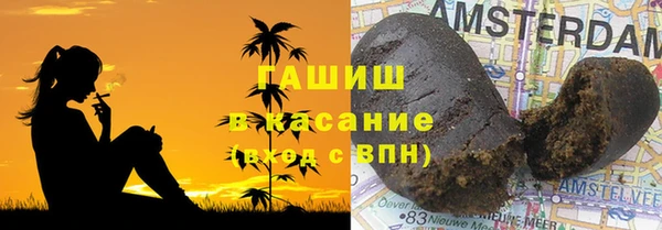индика Дмитриев